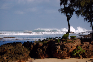 Shark Cove.